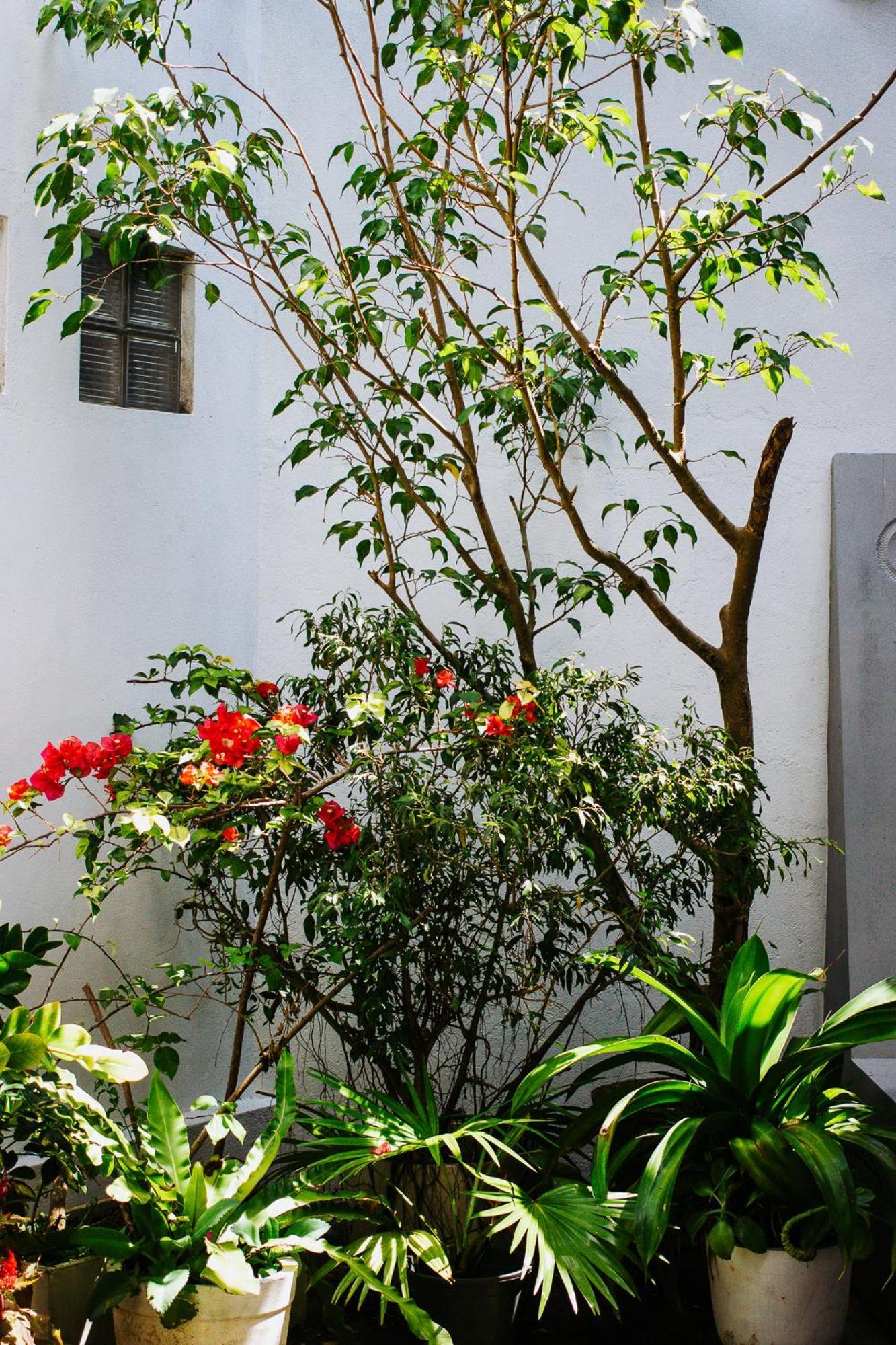 Kaya Residence Kandy Exterior foto